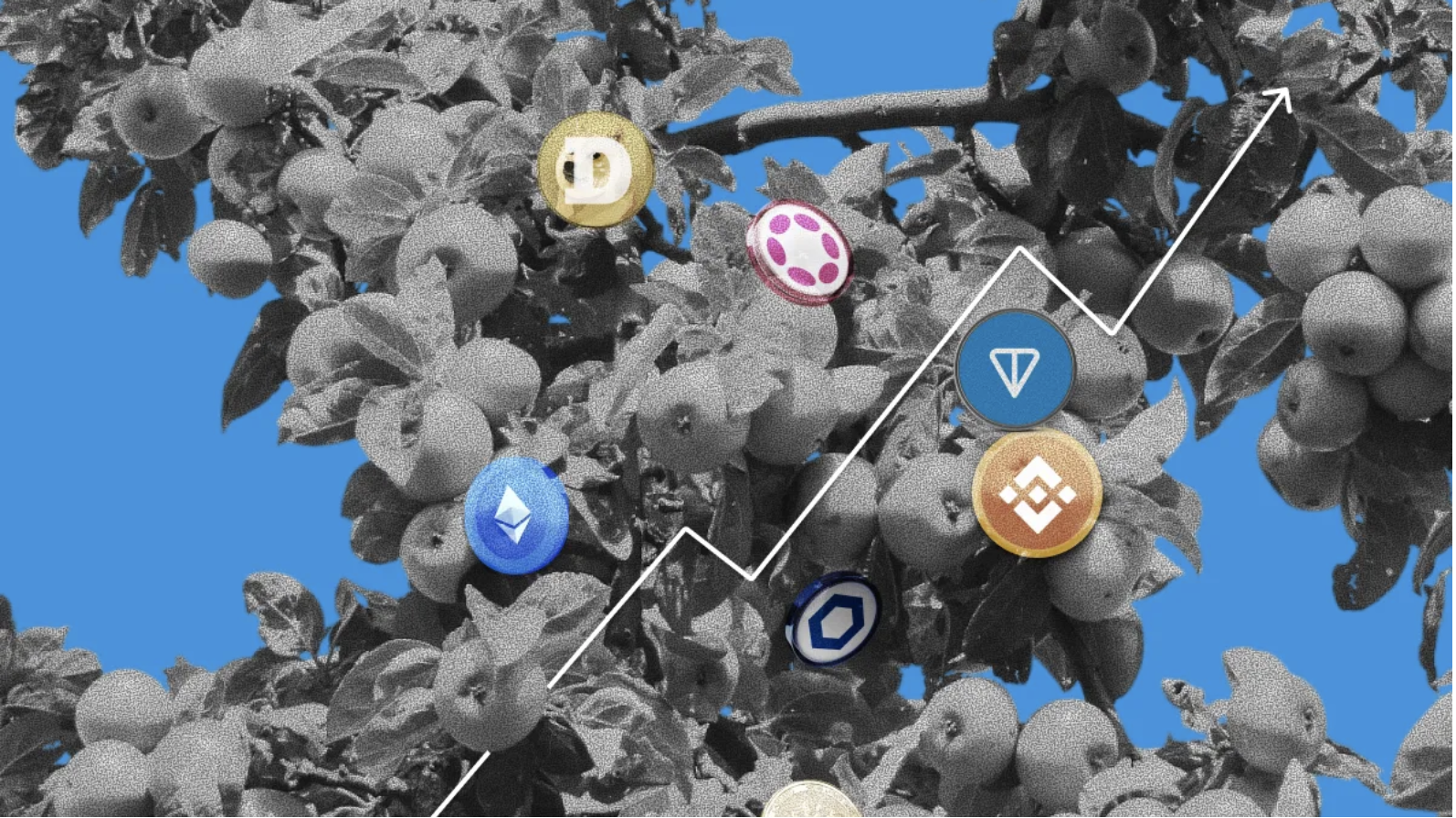 В Wintermute объяснили задержку сезона альткоинов